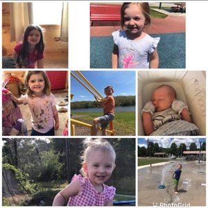 Meet your Posher, Phoebe